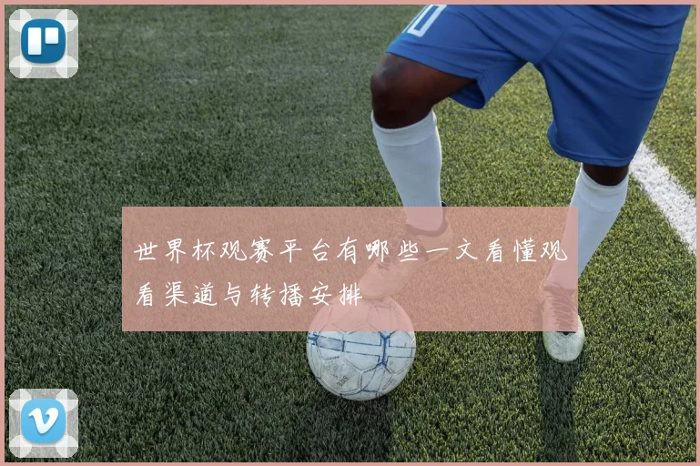 世界杯观赛平台有哪些一文看懂观看渠道与转播安排