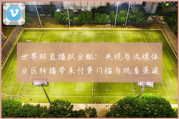 世界杯直播权分配：央视与流媒体分区转播带来付费门槛与观看渠道差异