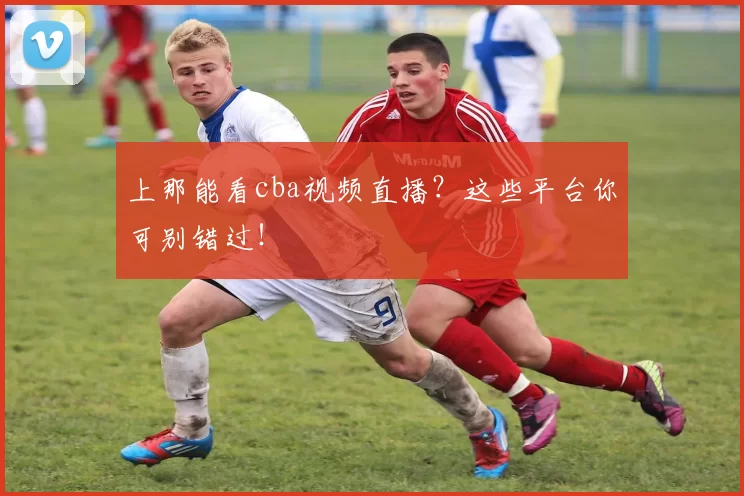 上那能看cba视频直播？这些平台你可别错过！