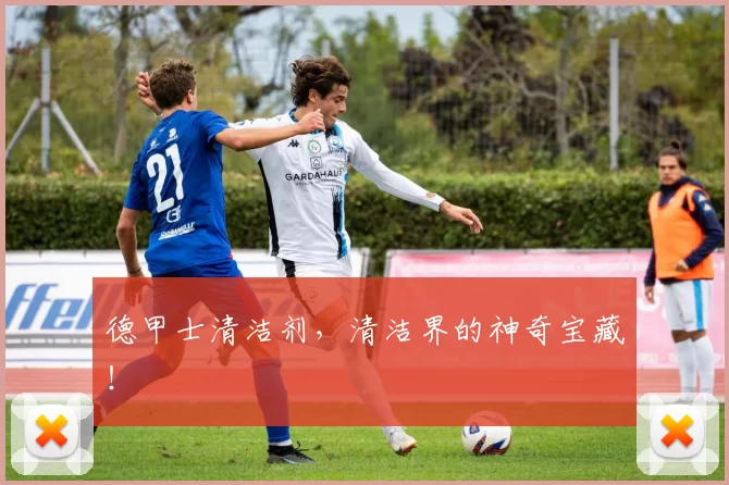 德甲士清洁剂，清洁界的神奇宝藏！