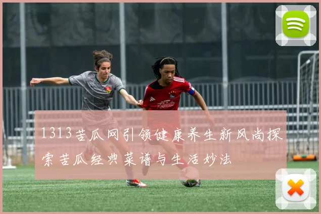 1313苦瓜网引领健康养生新风尚探索苦瓜经典菜谱与生活妙法