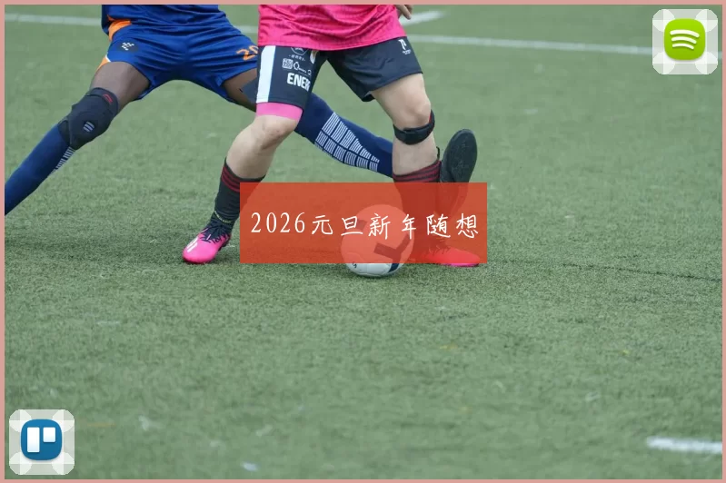 2026元旦新年随想