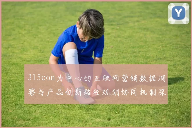 315con为中心的互联网营销数据洞察与产品创新路径规划协同机制深化研究