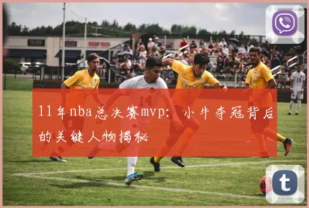 11年nba总决赛mvp：小牛夺冠背后的关键人物揭秘