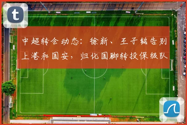 中超转会动态：徐新、王子铭告别上港和国安，归化国脚转投保级队